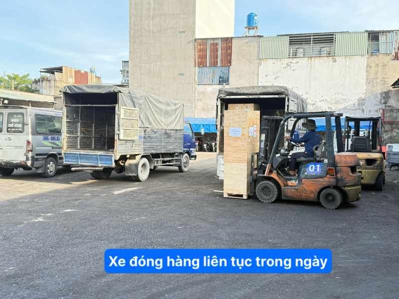 Xe đóng hàng liên tục Trong Ngày