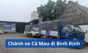 Chành xe Cà Mau đi Bình Định