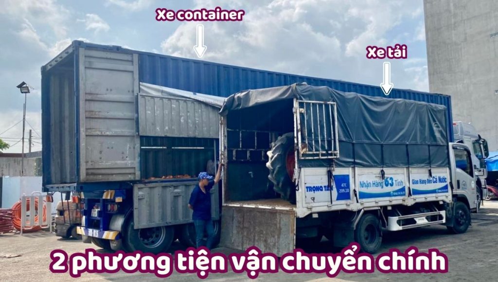 chành xe Vũng Tàu Thanh Hóa
