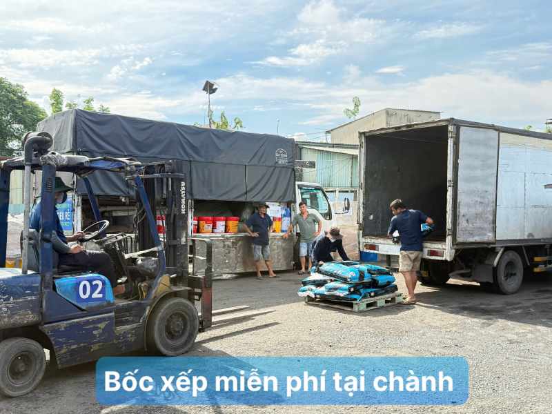 Bốc Xếp miễn phí tại chành