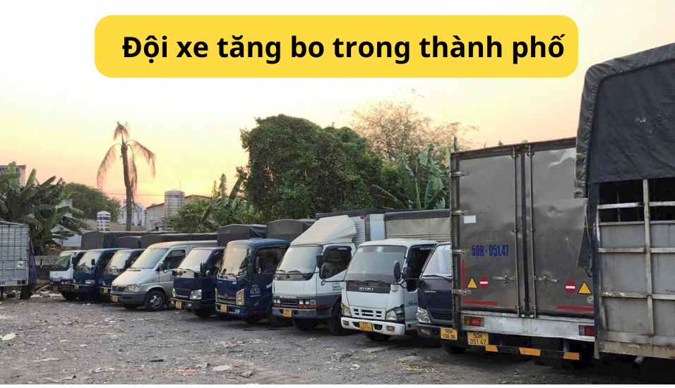 chanh-xe- ca-mau -di-phu-tho