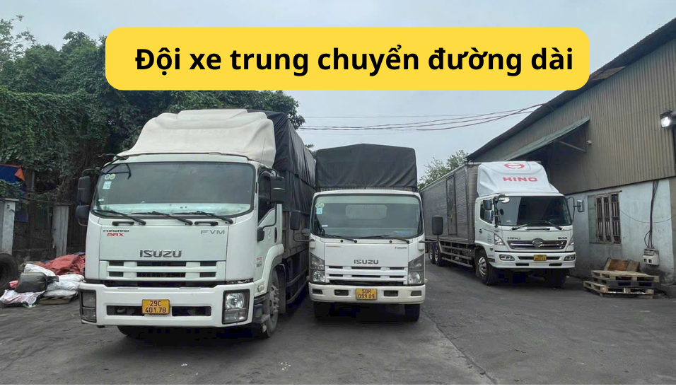 chanh-xe- ca-mau -di-phu -tho