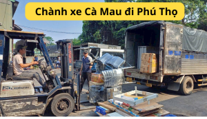 chanh-xe-ca-mau -di-phu-tho