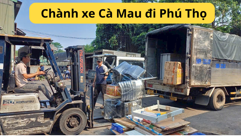 chanh-xe-ca-mau -di-phu-tho