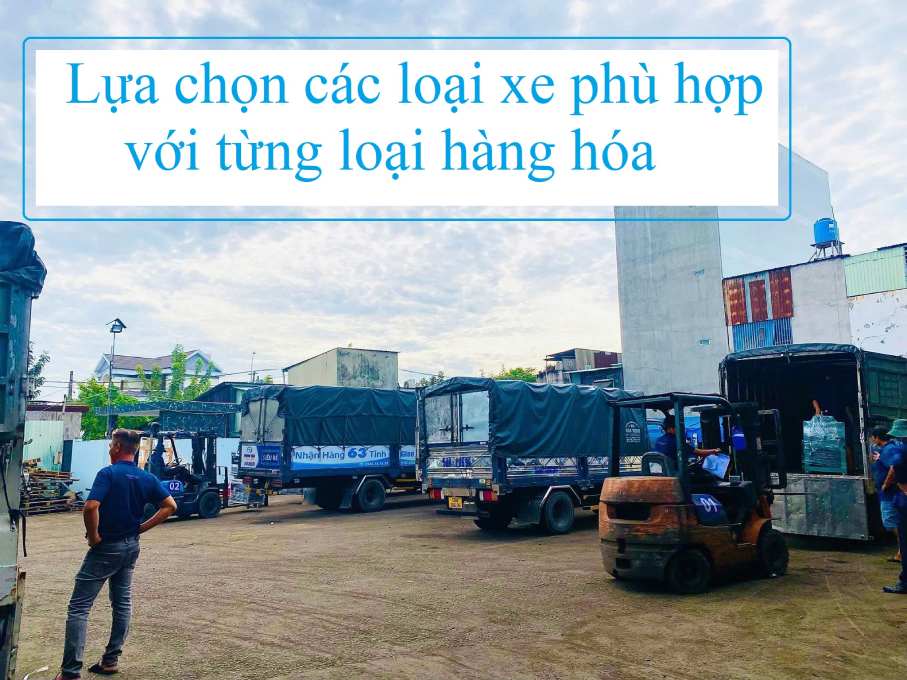 Chành xe Đà Nẵng đi Lâm Đồng