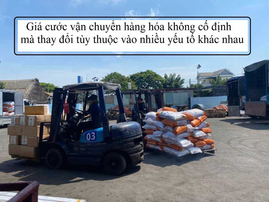 Chành xe Đồng Nai đi Lâm Đồng
