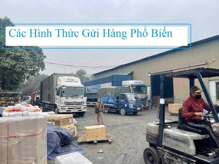 Chành Xe Phú Thọ Đi Lâm Đồng