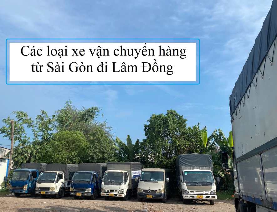 Chành xe Sài Gòn đi Lâm Đồng