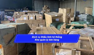 Dịch vụ thiếu tính hệ thống