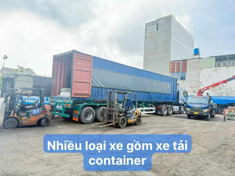 Nhiều loại xe gồm xe tải container