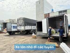 Xe lớn nhỏ đi các tuyến