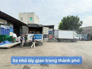 Xe nhỏ lấy giao trong Thành Phố