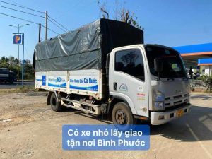 xe tải nhỏ lấy giao tận nơi