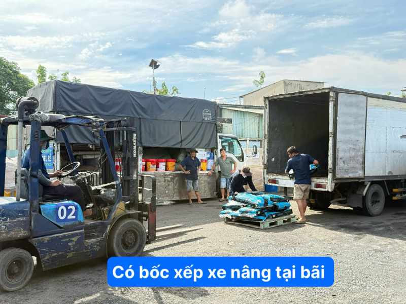Có bốc xếp xe nâng tại bãi