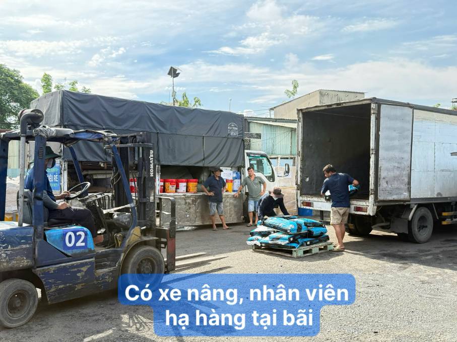 có xe nâng bốc xếp tại bãi