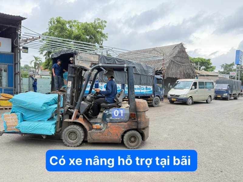 Xe nâng hỗ trợ tại bãi