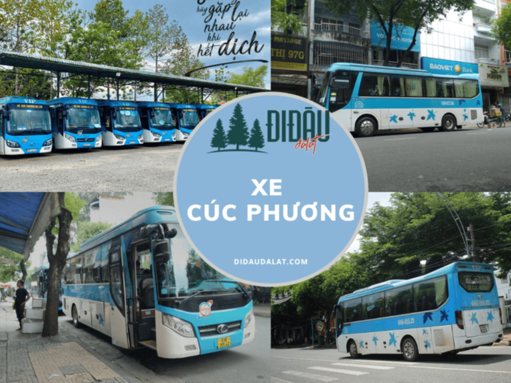chành xe cúc phương