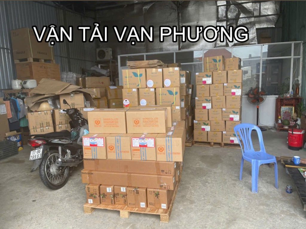 Hệ thống kho bãi và điểm giao