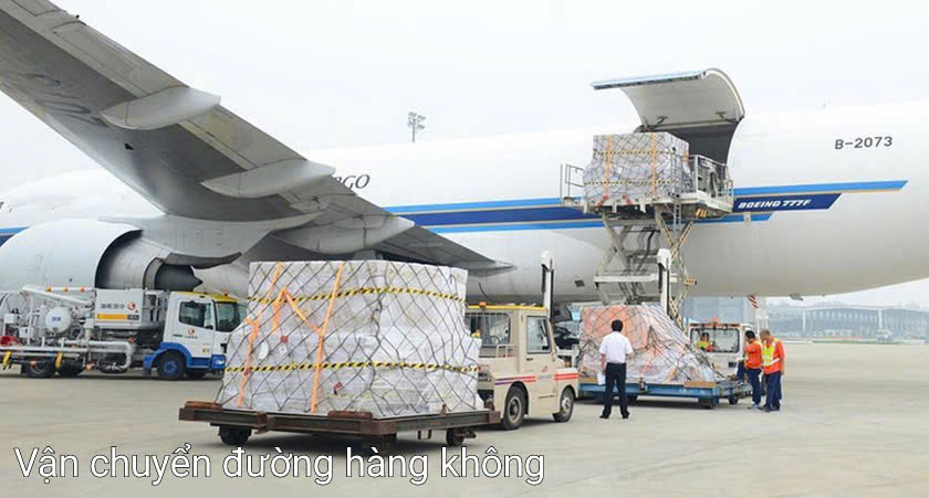 Chành Xe Rồng Việt